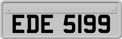 EDE5199