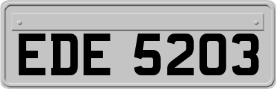 EDE5203