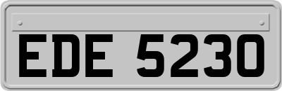 EDE5230