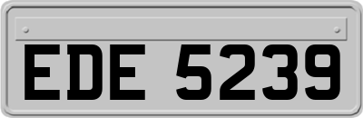 EDE5239