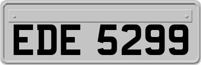 EDE5299