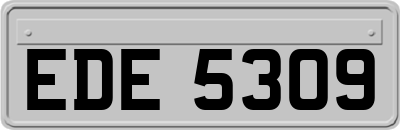 EDE5309