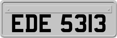 EDE5313