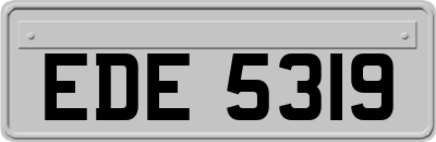 EDE5319