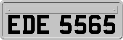 EDE5565