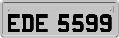 EDE5599