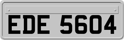 EDE5604