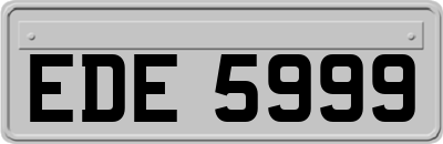 EDE5999