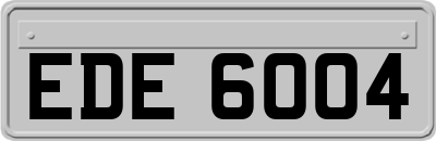 EDE6004