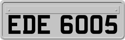 EDE6005