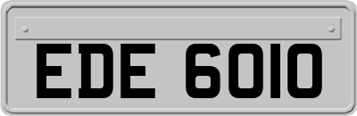 EDE6010