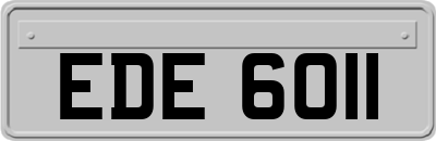 EDE6011