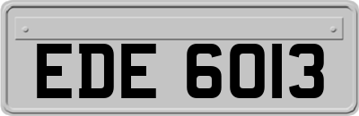 EDE6013