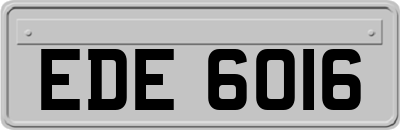 EDE6016
