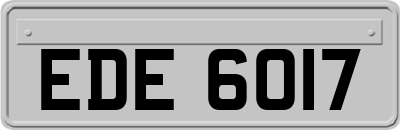 EDE6017