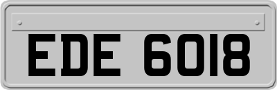 EDE6018