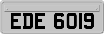 EDE6019