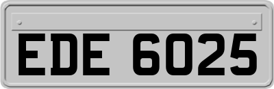 EDE6025