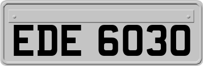 EDE6030
