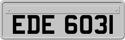 EDE6031