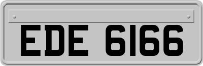 EDE6166