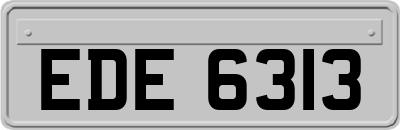 EDE6313