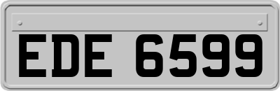 EDE6599