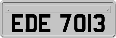 EDE7013