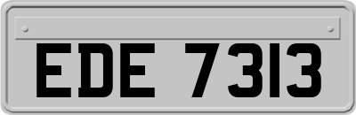 EDE7313