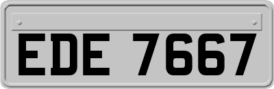 EDE7667