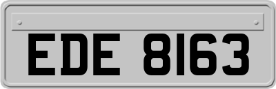 EDE8163