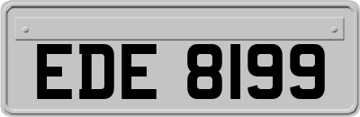 EDE8199