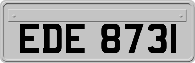 EDE8731