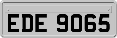 EDE9065