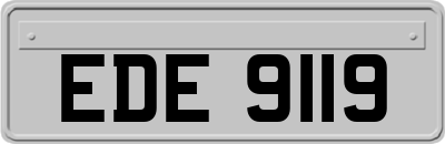 EDE9119