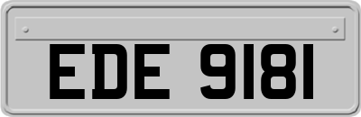 EDE9181