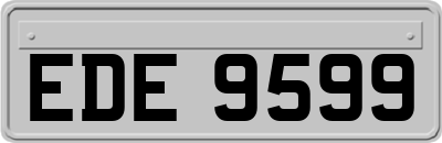 EDE9599