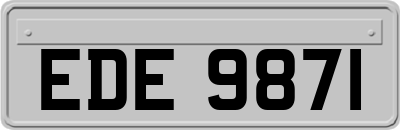 EDE9871