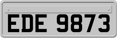 EDE9873