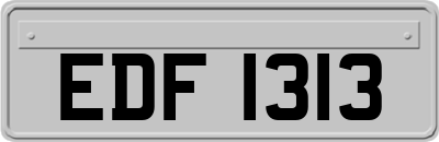 EDF1313