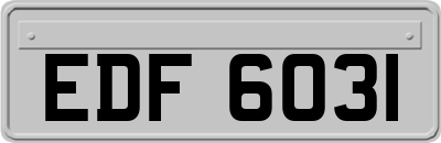 EDF6031
