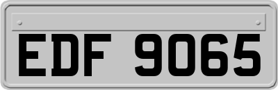 EDF9065