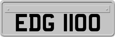 EDG1100