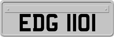 EDG1101