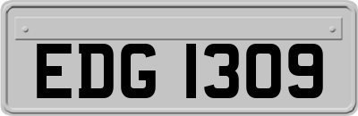 EDG1309