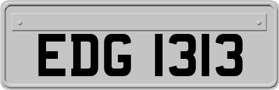 EDG1313
