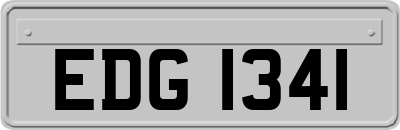 EDG1341