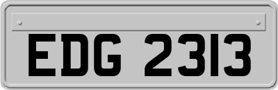 EDG2313