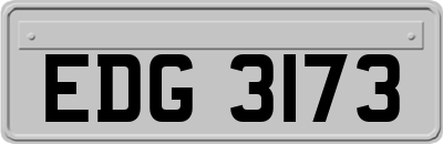 EDG3173