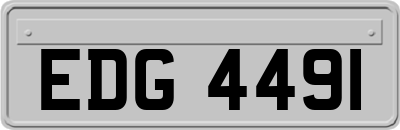EDG4491